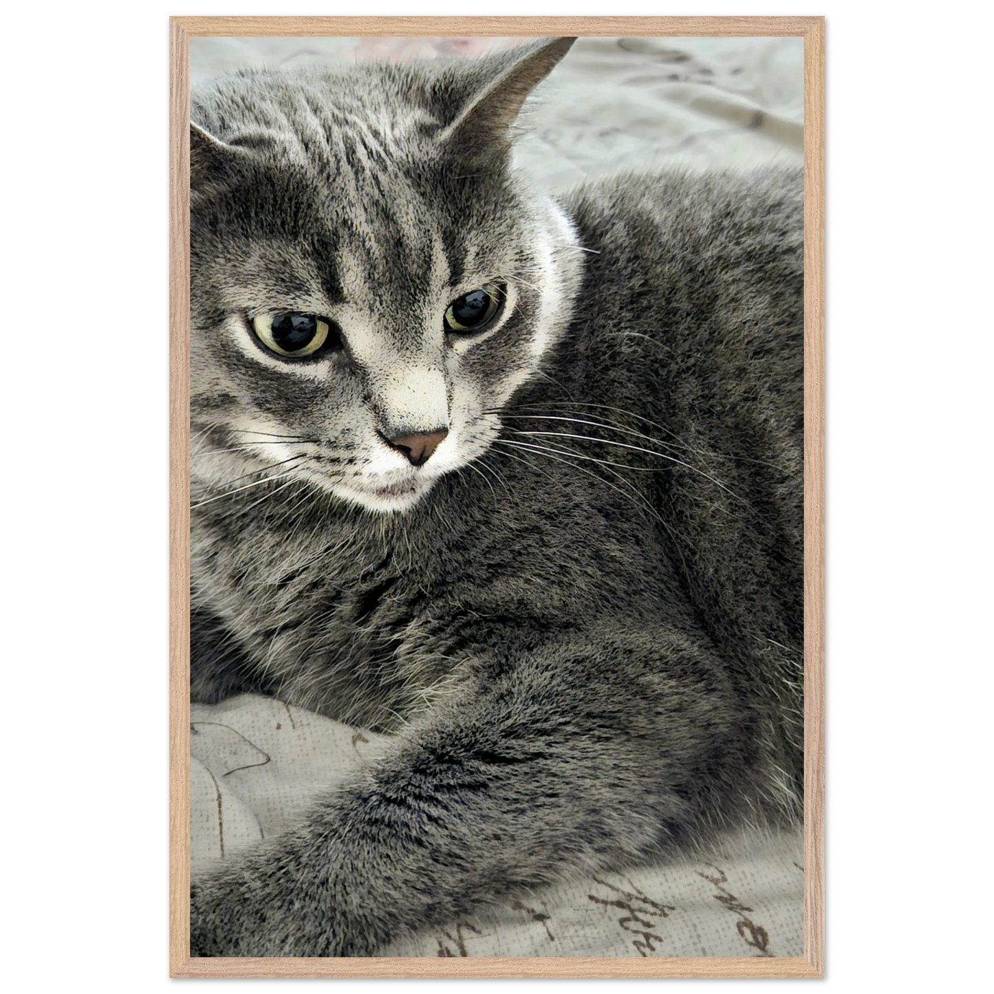 bc5851e1-c731-4717-8af4-a01cc0ba9dae